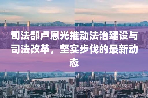 司法部卢恩光推动法治建设与司法改革，坚实步伐的最新动态