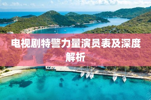 电视剧特警力量演员表及深度解析