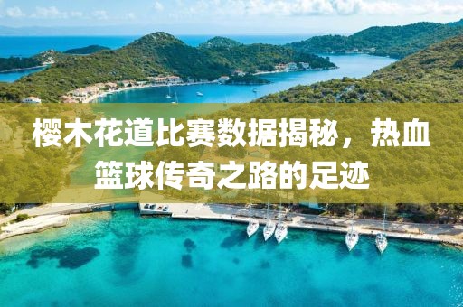 樱木花道比赛数据揭秘，热血篮球传奇之路的足迹