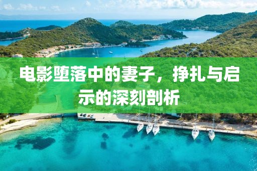 电影堕落中的妻子，挣扎与启示的深刻剖析