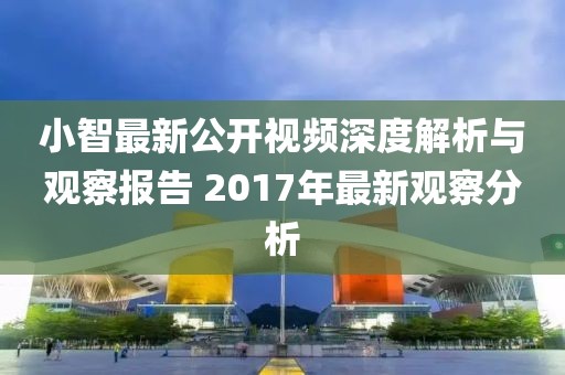 小智最新公开视频深度解析与观察报告 2017年最新观察分析