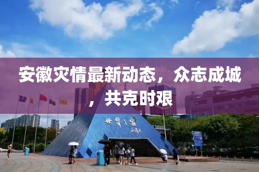安徽灾情最新动态，众志成城，共克时艰