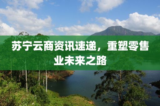 苏宁云商资讯速递，重塑零售业未来之路