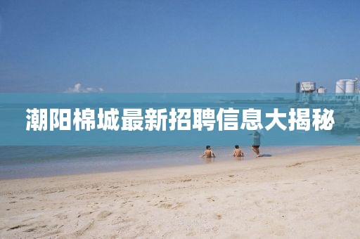 潮阳棉城最新招聘信息大揭秘