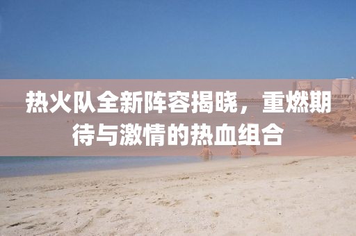热火队全新阵容揭晓，重燃期待与激情的热血组合