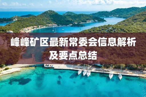 峰峰矿区最新常委会信息解析及要点总结