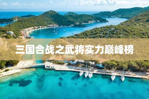 三国合战之武将实力巅峰榜