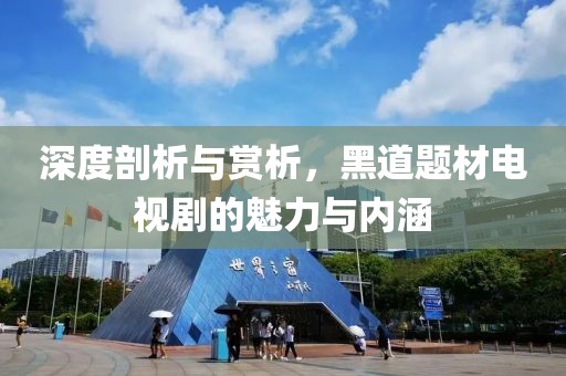 深度剖析与赏析，黑道题材电视剧的魅力与内涵