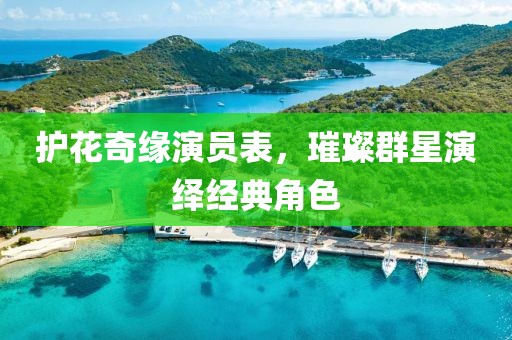 护花奇缘演员表，璀璨群星演绎经典角色