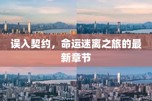 误入契约，命运迷离之旅的最新章节