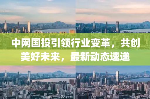 中网国投引领行业变革，共创美好未来，最新动态速递