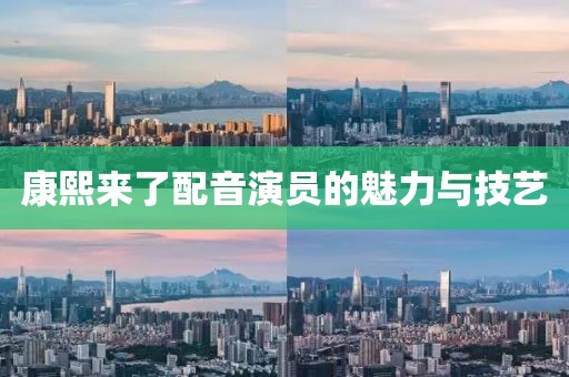 康熙来了配音演员的魅力与技艺