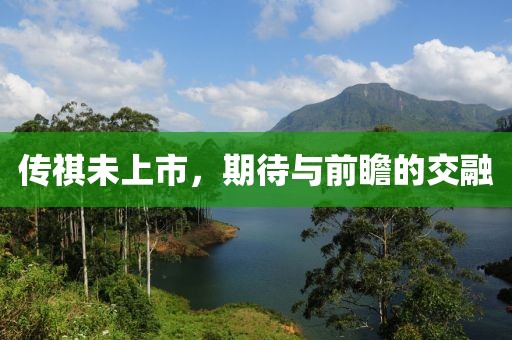 传祺未上市，期待与前瞻的交融