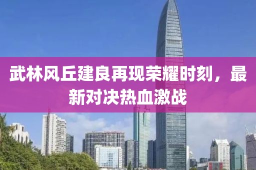 武林风丘建良再现荣耀时刻，最新对决热血激战