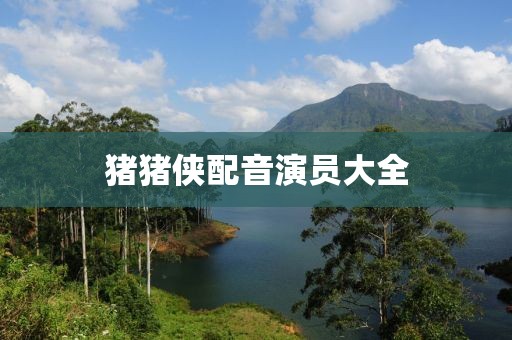 猪猪侠配音演员大全