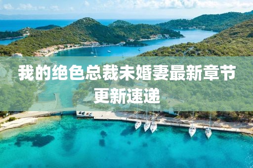 我的绝色总裁未婚妻最新章节更新速递