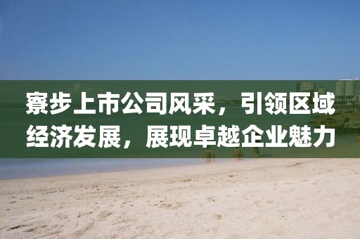 寮步上市公司风采，引领区域经济发展，展现卓越企业魅力