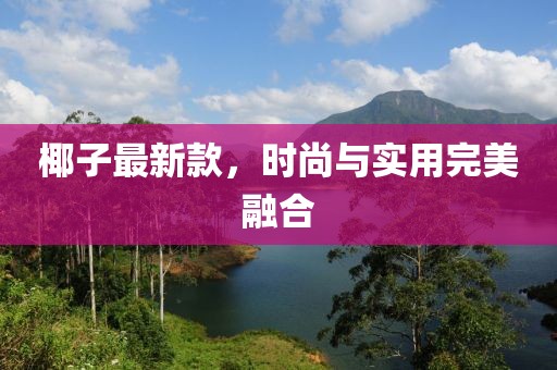 椰子最新款，时尚与实用完美融合