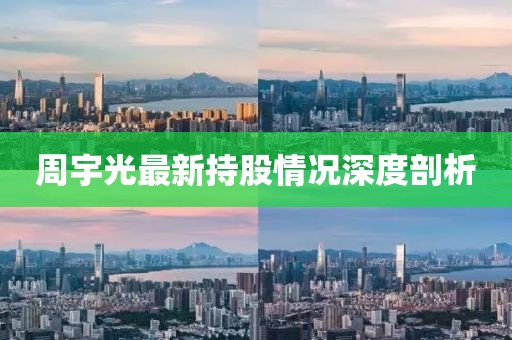 周宇光最新持股情况深度剖析