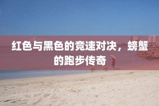 红色与黑色的竞速对决，螃蟹的跑步传奇