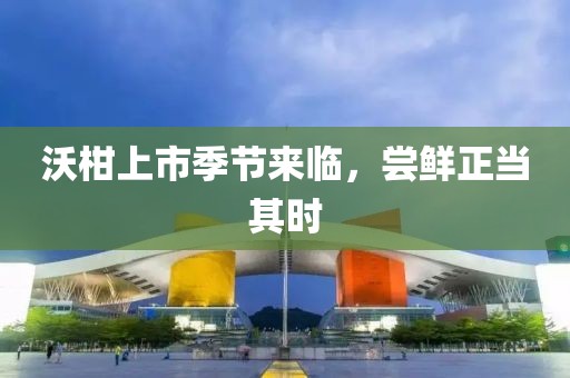 沃柑上市季节来临，尝鲜正当其时