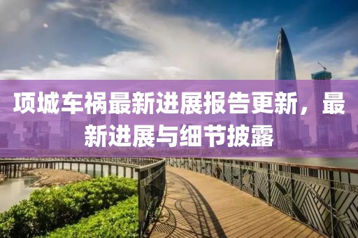 项城车祸最新进展报告更新，最新进展与细节披露