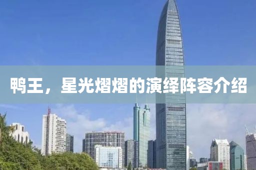 鸭王，星光熠熠的演绎阵容介绍
