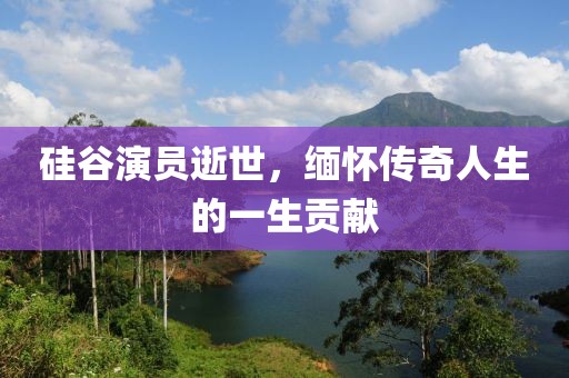 硅谷演员逝世，缅怀传奇人生的一生贡献