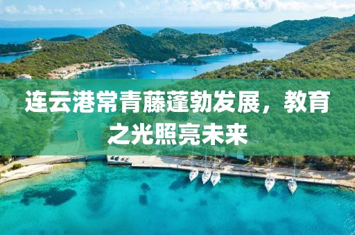 连云港常青藤蓬勃发展，教育之光照亮未来