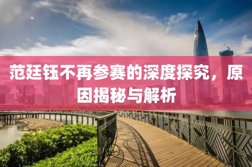 范廷钰不再参赛的深度探究，原因揭秘与解析