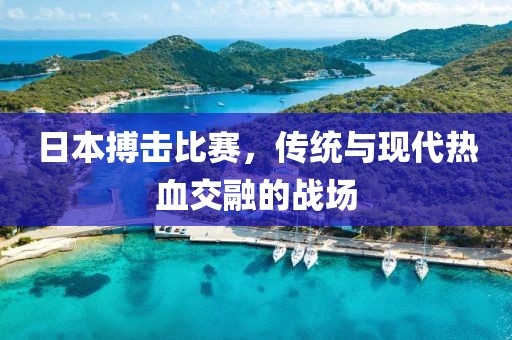 日本搏击比赛，传统与现代热血交融的战场