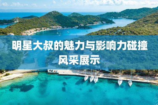 明星大叔的魅力与影响力碰撞风采展示