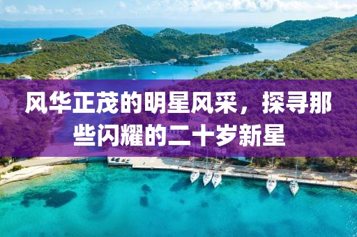 风华正茂的明星风采，探寻那些闪耀的二十岁新星