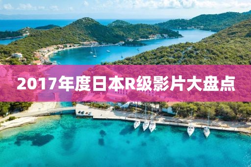 2017年度日本R级影片大盘点