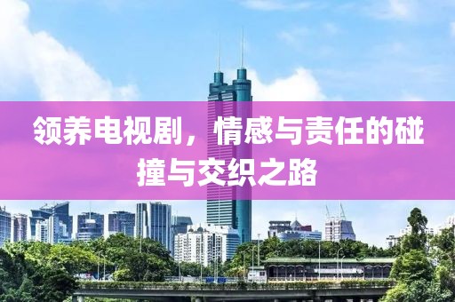 领养电视剧，情感与责任的碰撞与交织之路