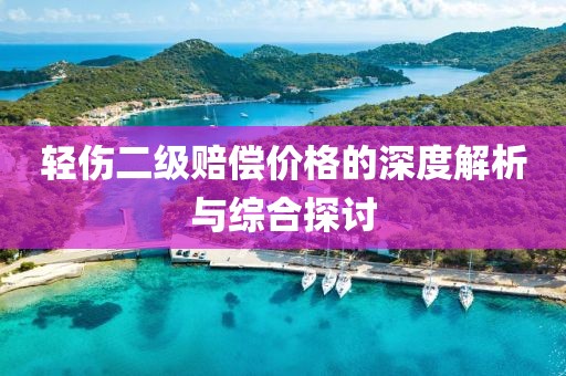 轻伤二级赔偿价格的深度解析与综合探讨