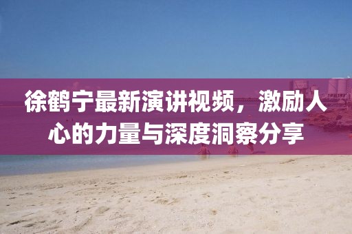 徐鹤宁最新演讲视频，激励人心的力量与深度洞察分享