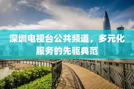 深圳电视台公共频道，多元化服务的先驱典范