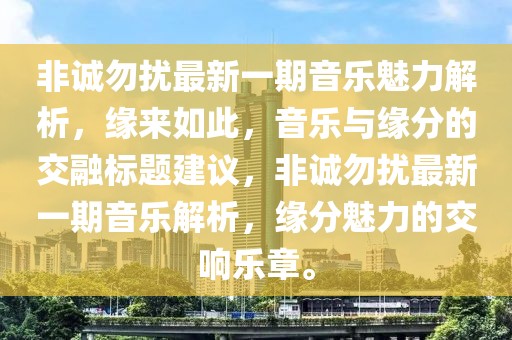 非诚勿扰最新一期音乐魅力解析，缘来如此，音乐与缘分的交融标题建议，非诚勿扰最新一期音乐解析，缘分魅力的交响乐章。