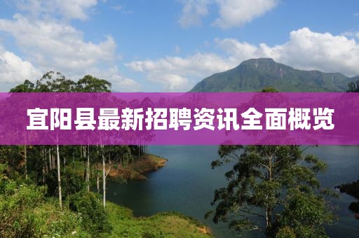 宜阳县最新招聘资讯全面概览