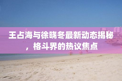 王占海与徐晓冬最新动态揭秘，格斗界的热议焦点