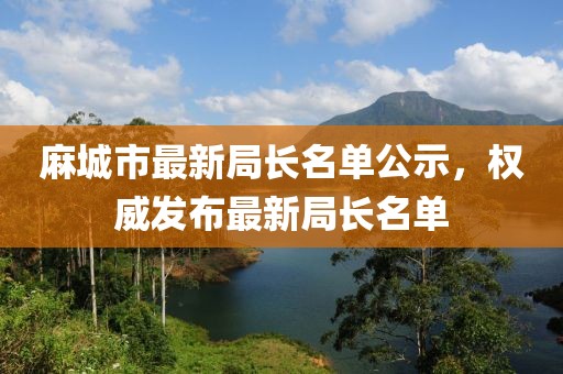 麻城市最新局长名单公示，权威发布最新局长名单