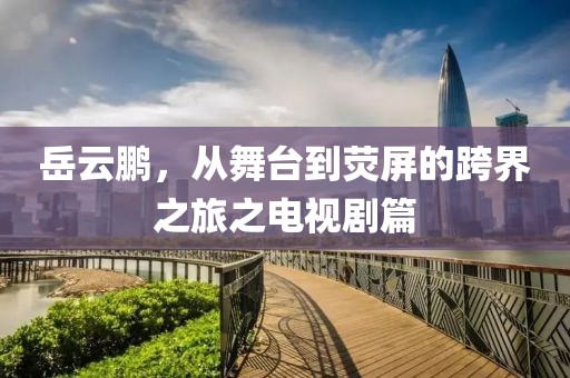 岳云鹏，从舞台到荧屏的跨界之旅之电视剧篇