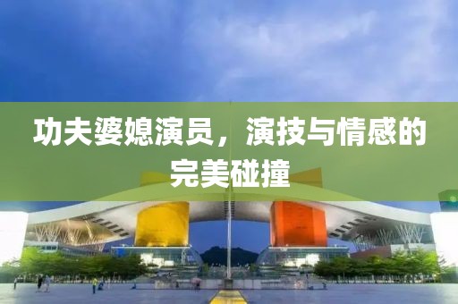 功夫婆媳演员，演技与情感的完美碰撞