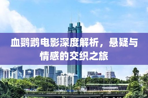 血鹦鹉电影深度解析，悬疑与情感的交织之旅