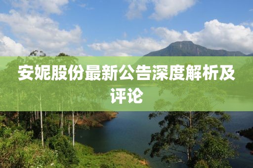 安妮股份最新公告深度解析及评论