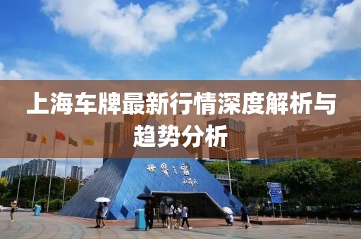 上海车牌最新行情深度解析与趋势分析