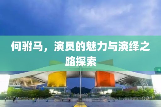 何驸马，演员的魅力与演绎之路探索