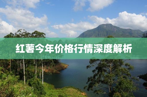 红薯今年价格行情深度解析