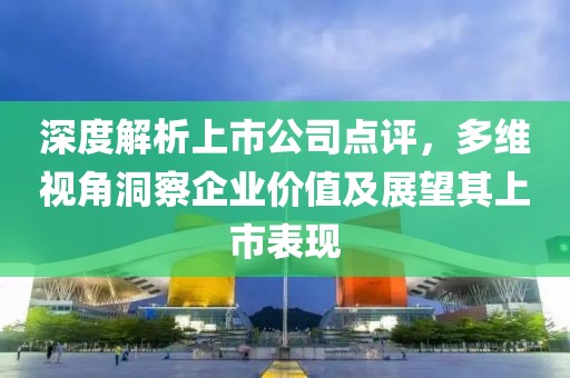 深度解析上市公司点评，多维视角洞察企业价值及展望其上市表现